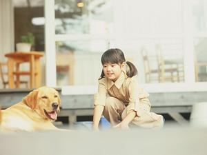 治療実績が豊富で平塚からすぐの動物病院