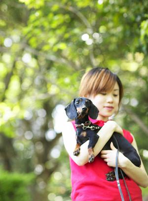 可愛らしい子犬の販売で人気のお店