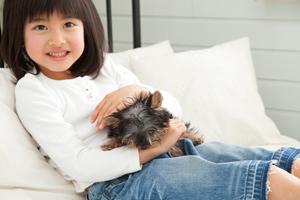 札幌市でのペットの火葬サービス完全ガイド：信頼できる業者と心に残る思い出作りのために