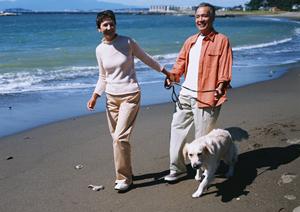 シロアリ駆除ならアサンテ:即日対応&土日祝日も受付の信頼のサービス