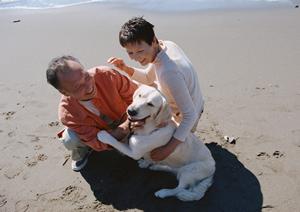 安心価格の子猫が見つかるペットショップ