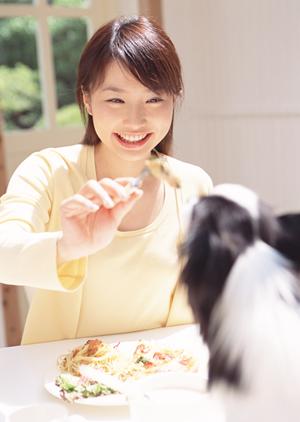 自然に近い環境と最新設備を備えた旭川市の緑の森どうぶつ病院 豊岡病院の特徴と魅力