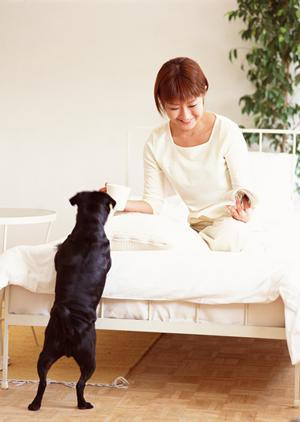京都市で幅広い動物を診療できる動物病院