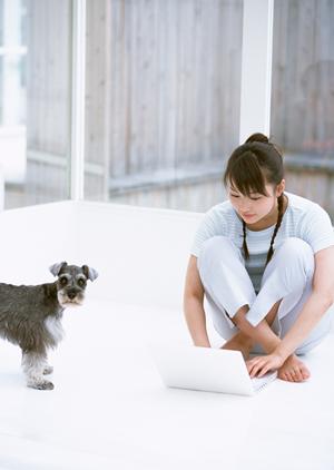 犬のおもちゃはNINA DOG TOYS