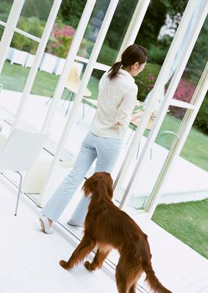 ペット葬儀を依頼するならここで決まり