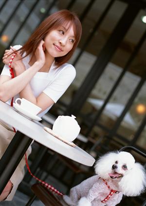 通販で高品質なドッグフードを入手できる